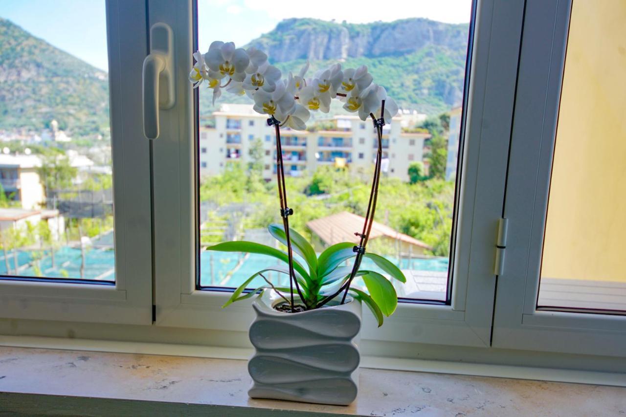 B&B Tina Piano di Sorrento Dış mekan fotoğraf