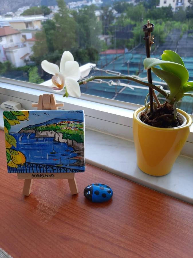 B&B Tina Piano di Sorrento Dış mekan fotoğraf